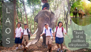 Lao people with their Pet Elephant 