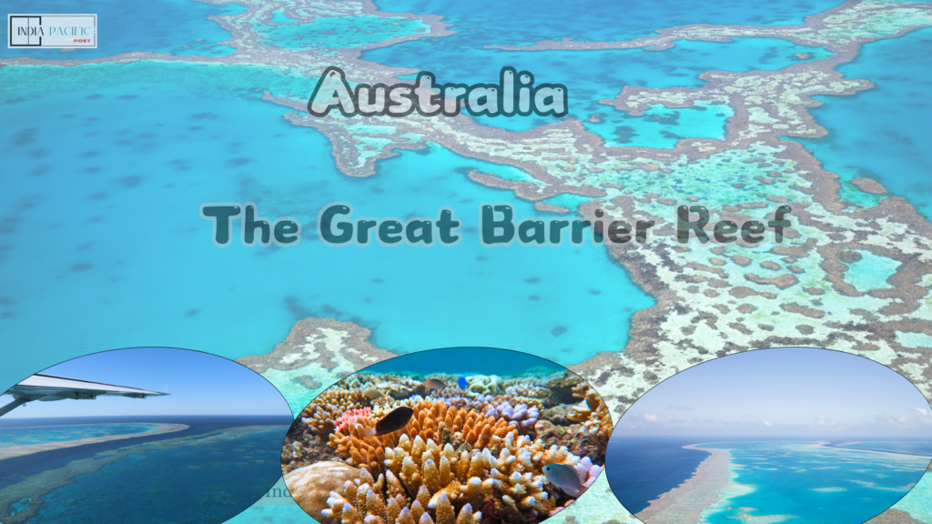 The Great Barrier Reef 