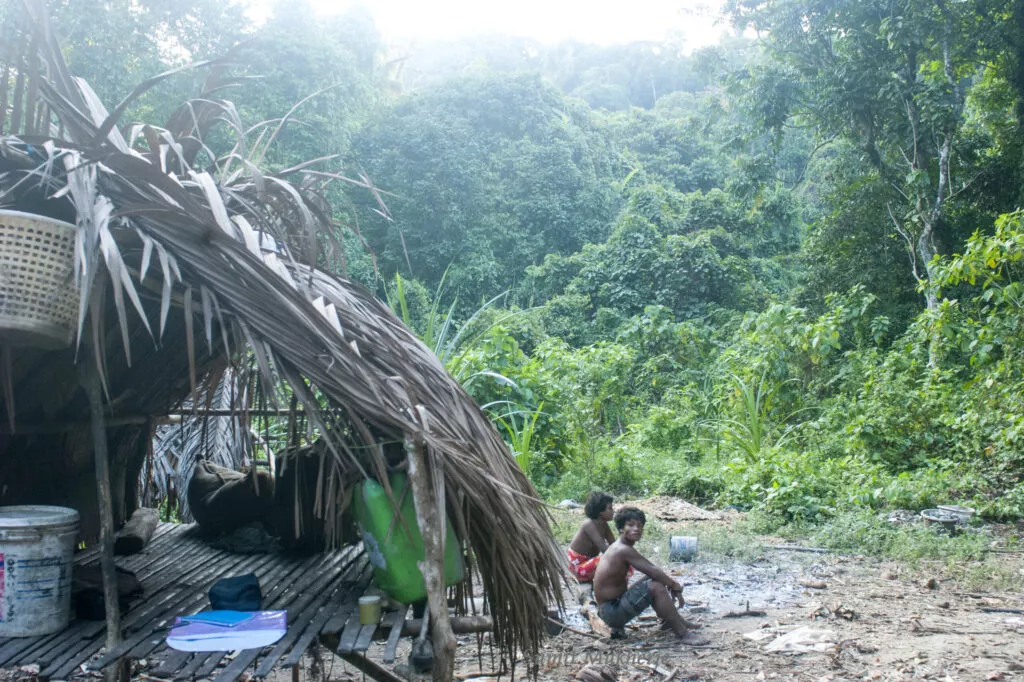 shompen tribe on nicobar island india